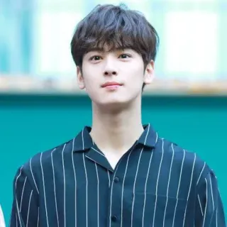 🐝 retrato, hombre, masculino, persona, modelo, coreano whatsapp sticker