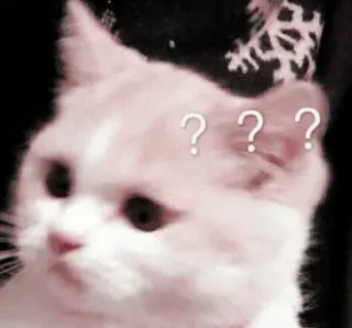 ❓ ??? кот, вопросительные знаки, в замешательстве, животное, мем, выражение telegram sticker