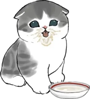 🥛 gato, gatinho, leite, fofo, animal, animal de estimação telegram sticker
