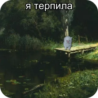 👾 я терпила cat, lake, nature, text, meme, russian whatsapp sticker