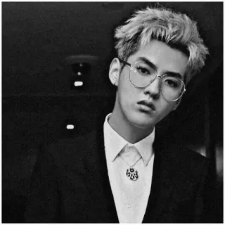 ➰ Kris Wu คริส วู, นักร้อง, นักแสดง, แคนาดาเชื้อสายจีน telegram sticker