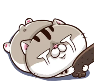 😭 고양이, 동물, 귀여운, 애완동물, 웃긴, 졸린 telegram sticker