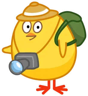 📷 Cartoon Küken, Entdecker, Safari, Abenteuer, Kamera, Vogel, Cartoon whatsapp sticker