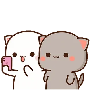⭐ cats, cute, selfie, animals, kawaii telegram sticker