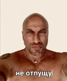 ❤️ не отпущу telegram sticker