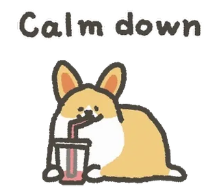 ✋ Calm down calma, cane, corgi, bevanda, relax, carino telegram sticker