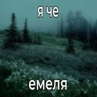 😡 Я че
емеля thiên nhiên, rừng, sương mù, cây cối, phong cảnh telegram sticker