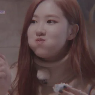 🐿️ kpop, rosa, blackpink, carino, mangiare, cantante telegram sticker