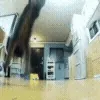 🐱