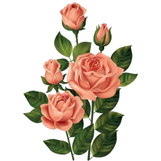 💐 розы, цветы, цветочный, персик, листья, букет telegram sticker