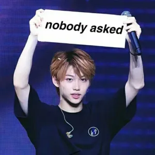 😎 Felix nobody asked kpop, ミーム, 聞いてない, stray kids, felix whatsapp sticker
