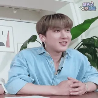 🥢 SKZ CODE SKZ, K-pop, Stray Kids, Entertainment, Koreaanse pop whatsapp sticker