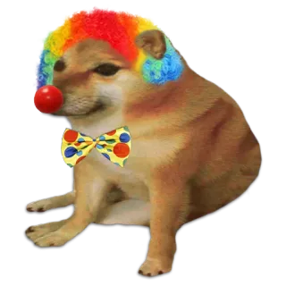 🤡 ドージ, 犬, ピエロ, ミーム telegram sticker