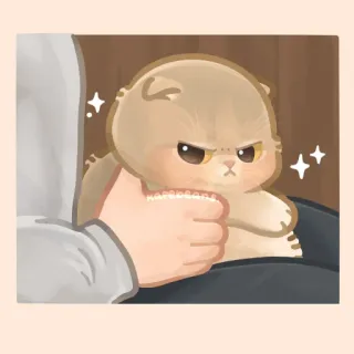 ✨ gato, zangado, fofo, animal de estimação, gatinho telegram sticker