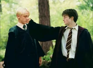 😝 Harry Potter Harry Potter, Draco Malfoy, magia, bruxo, amizade, filme, cinema, Hogwarts telegram sticker