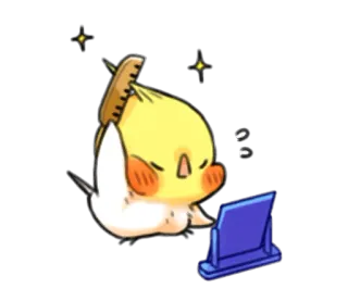 💇 oiseau, cockatiel, dessin animé, mignon, ordinateur, autocollant telegram sticker