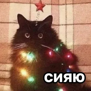 😊 СИЯЮ cat, christmas, lights, сияю telegram sticker