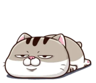 🤒 cat, animal, cute, pet, cartoon telegram sticker