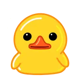 ✨