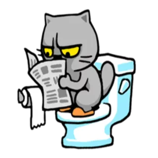 🚽 cat, toilet, newspaper, reading, bathroom, cartoon, animal telegram sticker