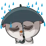 ☔️