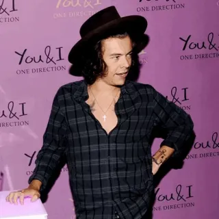 🎵 Harry Styles One Direction ONE DIRECTION
You & I
ONE DIRECTION Harry Styles, One Direction, singer, celebrity, pop music, hat, plaid shirt telegram sticker