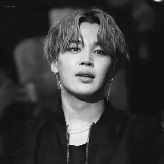 ⌚️ Jimin kpop, jimin, bts, penyanyi, idola telegram sticker
