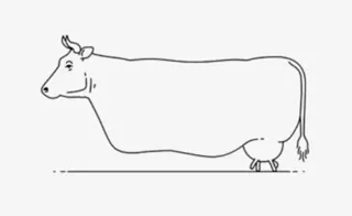 🐄 cow, animal, farm, dairy, livestock, agriculture telegram sticker