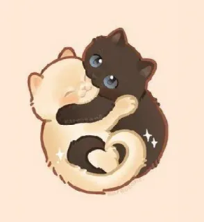 🐱 chat, yin yang, mignon, animaux, amitié telegram sticker