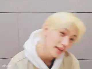 ๐ Felix K-pop, singer, Stray Kids, blonde, person, male telegram sticker