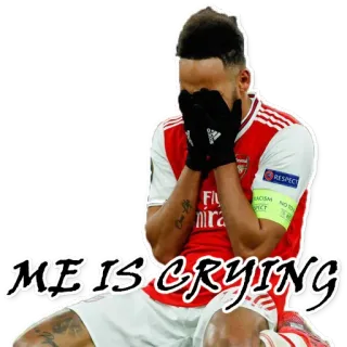 😭 ME IS CRYING crying, sad, football, sport, soccer, upset telegram sticker