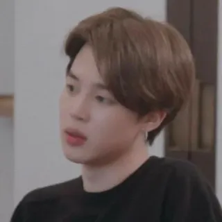 😐 Jimin kpop, bts, idol, ca sĩ, jimin, chân dung telegram sticker