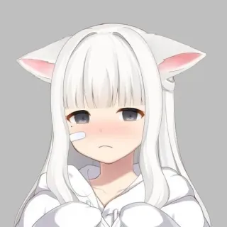 😢 アニメ, かわいい, 猫耳, 絆創膏, 女の子, 白髪 telegram sticker
