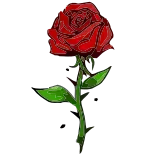 🌹