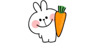 ☺️ HangSeed coniglio, carota, carino, kawaii, animale telegram sticker