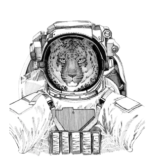 Animals in Space  @stickersb2b telegram stickers