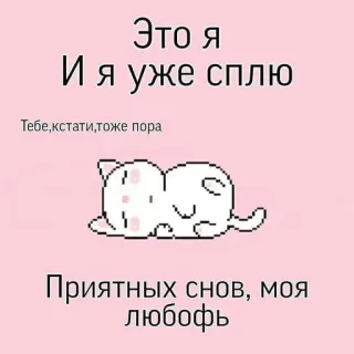 🧺 Это я
И я уже сплю
Тебе, кстати, тоже пора
Приятных снов, моя
любофь kot, sen, dobranoc, słodki telegram sticker