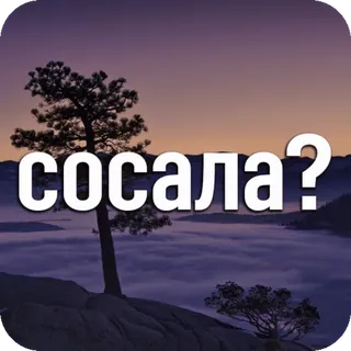 🍆 сосала? russo, ofensivo, gíria telegram sticker