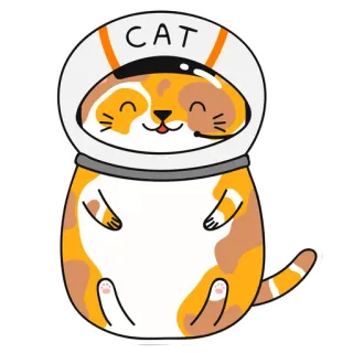 😢 CAT kot, zwierzę, kosmos, astronauta, kask, pomarańczowy telegram sticker
