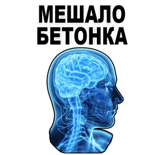 😱 МЕШАЛО БЕТОНКА brain, head, meme, text, russian telegram sticker