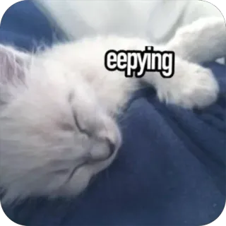 😴 eepying 猫, 子猫, 睡眠, 可愛い, 動物, ペット telegram sticker
