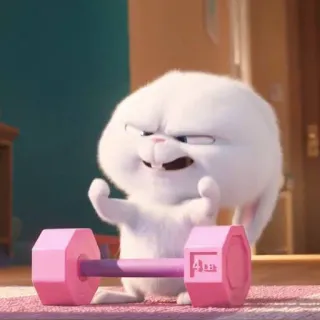 😡 Snowball The Secret Life of Pets 4LB lapin, lapin, haltérophilie, dessin animé, gym, animal telegram sticker