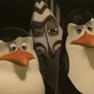 😳 penguins, madagascar, cartoon, animals whatsapp sticker