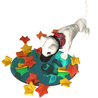 💦 dog, animal, fall, autumn, leaves, pet, bull terrier, clay, sculpture telegram sticker