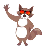 🦝