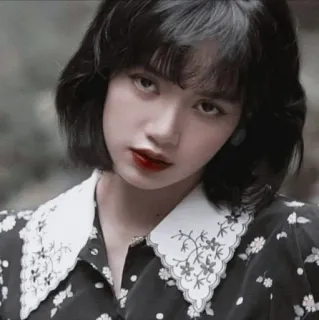 ☠ Lisa k팝, 가수, 블랙핑크, 여자, 인물사진, 연예인 telegram sticker