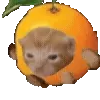 🍊