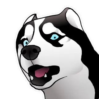 😧 chó, husky, ngạc nhiên, sốc, động vật, meme telegram sticker