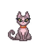 😼 แมว, สัตว์เลี้ยง, สัตว์, พิกเซลอาร์ต, แว่นตา, ปลอกคอ telegram sticker
