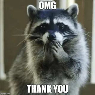 ❤ OMG THANK YOU mapache, lindo, animal, meme, omg, gracias whatsapp sticker